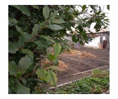 Продам дом - 3