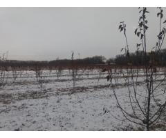 Участок 1 га 90 соток - 3