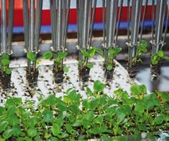 Роботизированная машина по пересадке растений RW URBINATI - 2