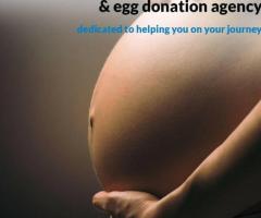 СРОЧНО! В МЕЖДУНАРОДНУЮ КОМПАНИЮ ISCV - 2