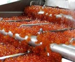 Изготовим оборудование для производства имитированной икры - 2