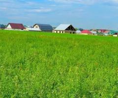 продам участки под строительство в Алматы, с. Коянкус - 3