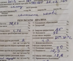 Семена Эспарцета, сорт "Саукурдык", "Песчаный". Казахстан - 3