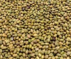 Семена Донника (белый, желтый, однолетний, двухлетний) РС - 1. Россия - 2