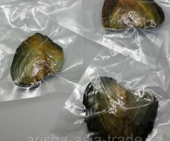 Жемчужница. - 2