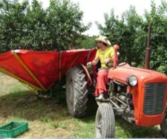 Промышленное оборудование для уборки урожая (Европа). - 2