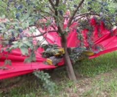 Промышленное оборудование для уборки урожая (Европа). - 3