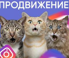 Продвижение в Инстаграм