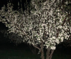 Агрономическое сопровождение. - 4