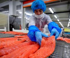 Производство рыбных изделий ( лосось ). Германия.
