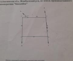Участок 50 соток в Узынагаше - 2
