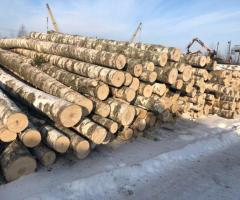 Березовый фанкряж (пиловочник), 1; 2 сорта. - 2