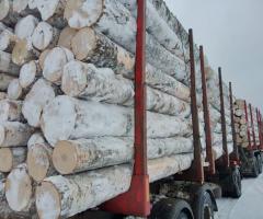 Березовый фанкряж (пиловочник), 1; 2 сорта. - 3