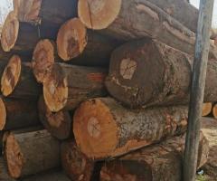 Круглый лес бука, дуба, ясеня, 1; 2 сорта. - 3