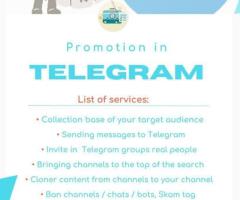 Комплексное продвижение ваших аккаунтов в соцсетях (Telegram, Instagram, Facebook)