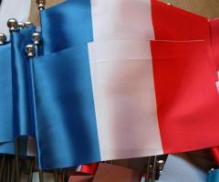 Флаги и Флажки на заказ в Алматы и по РК. - 4