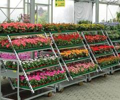 Тележка - трансформер Кабриолет - 3