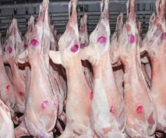 Мясо Баранины Оптом на Арабский Эмираты - 2