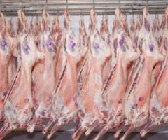 Мясо Баранины Оптом на Арабский Эмираты - 3