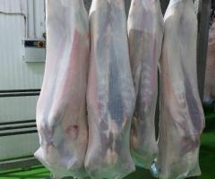 Мясо Баранины Оптом на Арабский Эмираты - 4