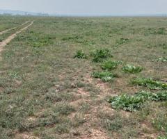 Продаются земельные участки общей площадью 18,34 га - 2