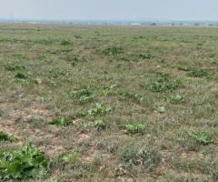 Продаются земельные участки общей площадью 18,34 га - 3