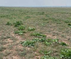 Продаются земельные участки общей площадью 18,34 га - 4