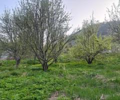 Продам участок - 3
