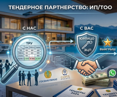 Ищу партнеров с ИП/ТОО для тендеров - 2