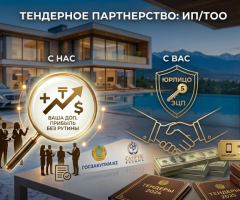 Ищу партнеров с ИП/ТОО для тендеров - 3
